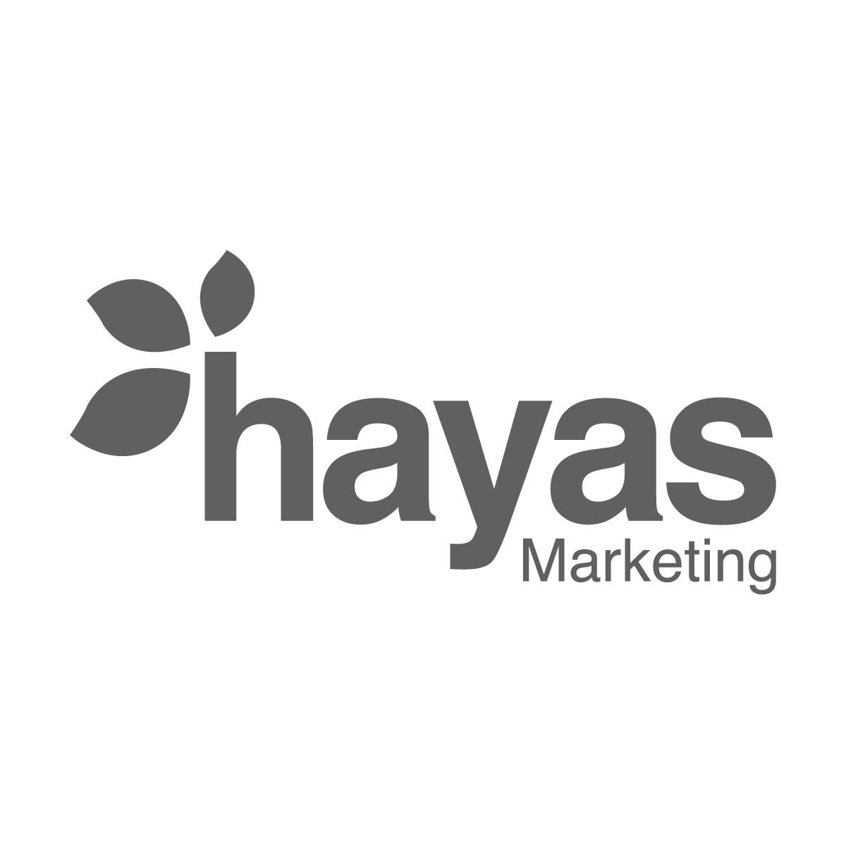 Hayas Marketing Gris